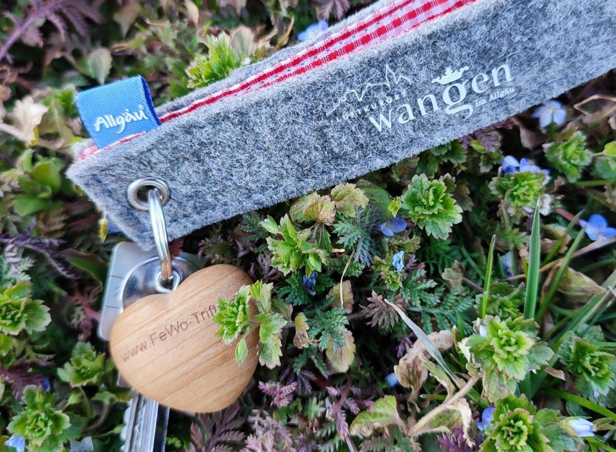 Ferienwohnung Trifts | Einzelbetten | Parkplatz Wangen im Allgaeu ภายนอก รูปภาพ